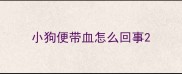 小狗便带血怎么回事