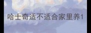 哈士奇适不适合家里养