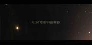 周口市宠物市场在哪里