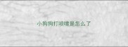 小狗狗打喷嚏是怎么了