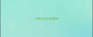 小狗几岁训练最好