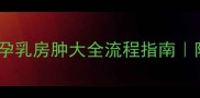 孕期必看猫咪怀孕乳房肿大全流程指南附科学护理避坑清单
