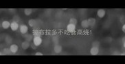 拉布拉多不吃食高烧