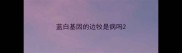 蓝白基因的边牧是病吗