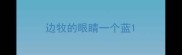 边牧的眼睛一个蓝