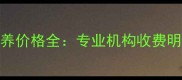 苏州金毛犬寄养价格全专业机构收费明细与避坑指南