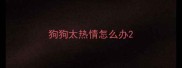 狗狗太热情怎么办