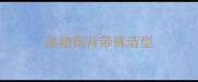 宠物狗背带裤造型