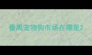 番禺宠物狗市场在哪里