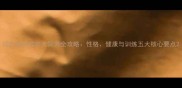 拉布拉多成年犬饲养全攻略性格健康与训练五大核心要点