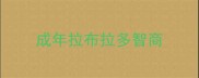 成年拉布拉多智商