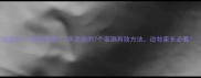 边牧8个月乱咬东西7天见效的7个亲测有效方法边牧家长必看