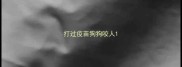 打过疫苗狗狗咬人