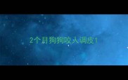 2个月狗狗咬人调皮
