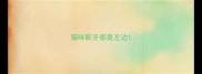 猫咪断牙都是左边