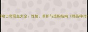 萨摩耶哈士奇混血犬全性格养护与选购指南附品种对比图