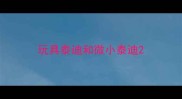 玩具泰迪和微小泰迪