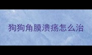 狗狗角膜溃疡怎么治