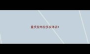 重庆拉布拉多实体店