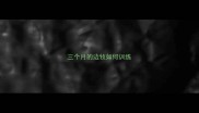 三个月的边牧如何训练