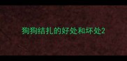 狗狗结扎的好处和坏处