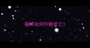 猫咪如何判断死亡