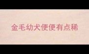金毛幼犬便便有点稀