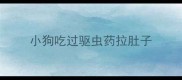 小狗吃过驱虫药拉肚子