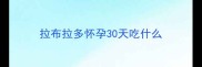 拉布拉多怀孕30天吃什么