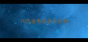 70天金毛吃多少正常