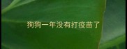 狗狗一年没有打疫苗了