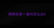 狗狗在家一直叫怎么办