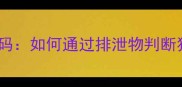 猫咪便便颜色密码如何通过排泄物判断猫粮质量与健康