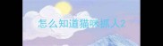 怎么知道猫咪抓人