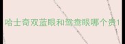 哈士奇双蓝眼和鸳鸯眼哪个贵