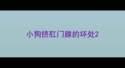 小狗挤肛门腺的坏处