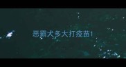 恶霸犬多大打疫苗