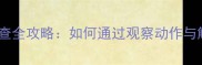 泰迪犬髌骨健康检查全攻略如何通过观察动作与触诊判断关节问题