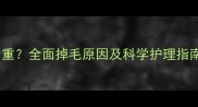 金毛犬大腿掉毛严重全面掉毛原因及科学护理指南附真实案例