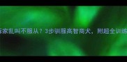 边牧总拆家乱叫不服从3步驯服高智商犬附超全训练指南