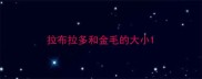 拉布拉多和金毛的大小