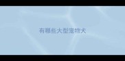 有哪些大型宠物犬