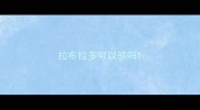 拉布拉多可以骑吗
