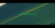 哈士奇眼皮发红掉毛