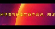 5个月大狗狗蛋黄辅食科学喂养指南与营养密码附详细操作步骤及注意事项