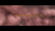 小拉布拉多玩什么玩具