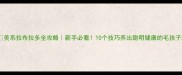 美系拉布拉多全攻略新手必看10个技巧养出聪明健康的毛孩子