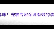 彻底解决猫咪尿床异味宠物专家亲测有效的清洁技巧与预防指南