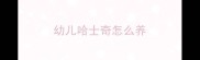 幼儿哈士奇怎么养