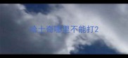 哈士奇哪里不能打